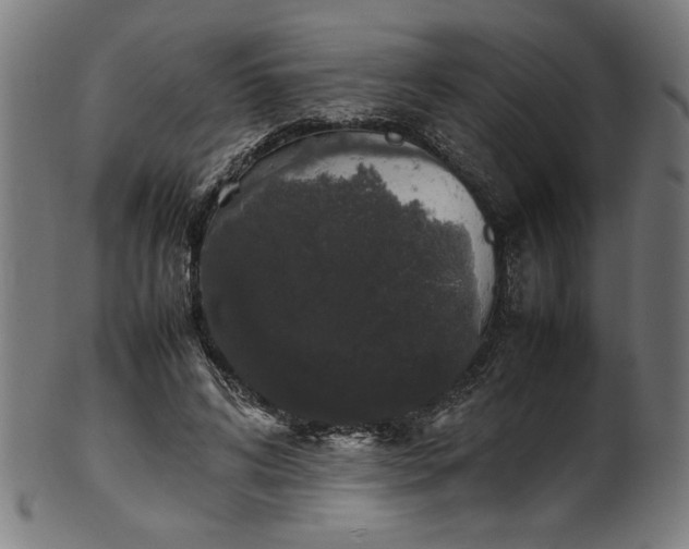 X0000099940592200806061520