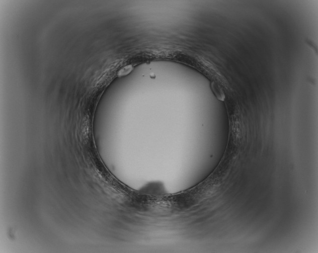 X0000099940593200806061520