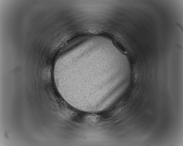 X0000099940595200806061520