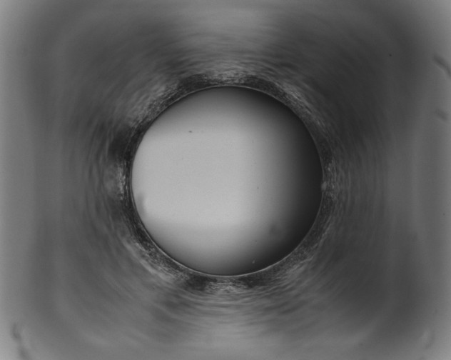 X0000099940597200806061520