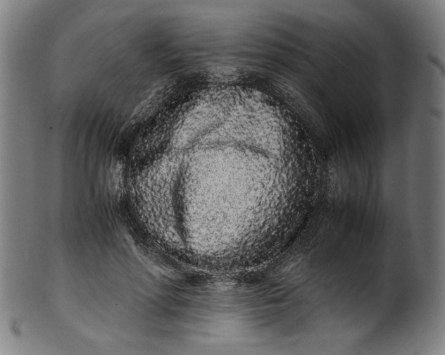 X0000099940598200806061520