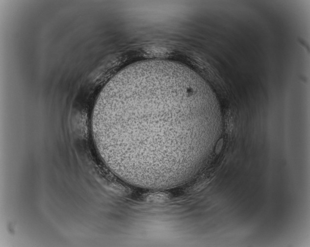 X0000099940599200806061520