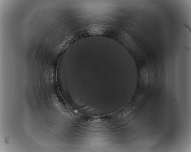 X0000099940600200806061520