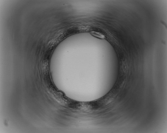 X0000099940601200806061520