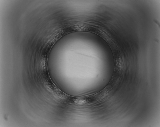 X0000099940602200806061520