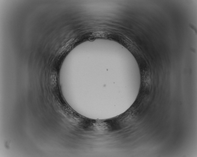 X0000099940603200806061520