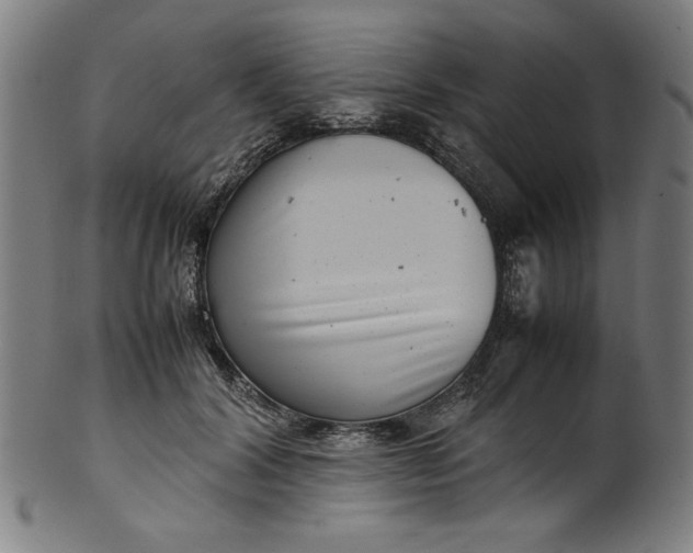 X0000099940604200806061520