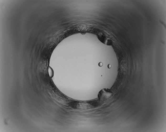 X0000099940605200806061520