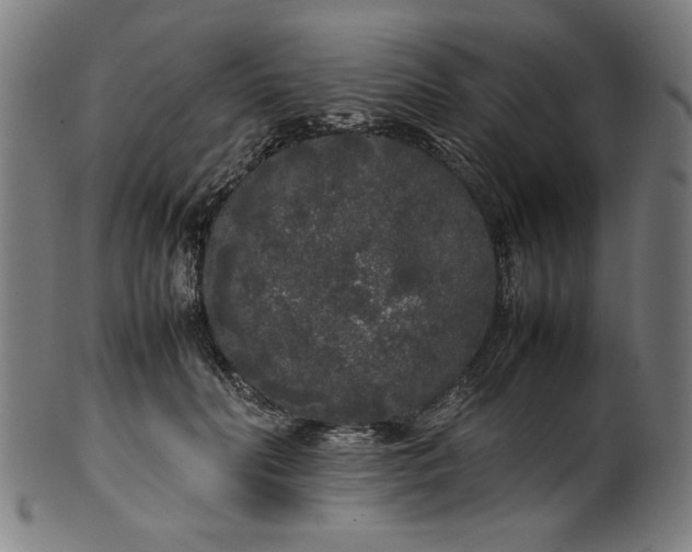 X0000099940606200806061520