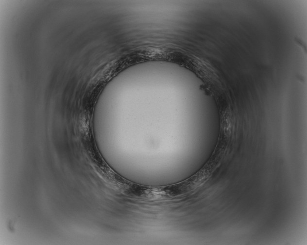 X0000099940607200806061520