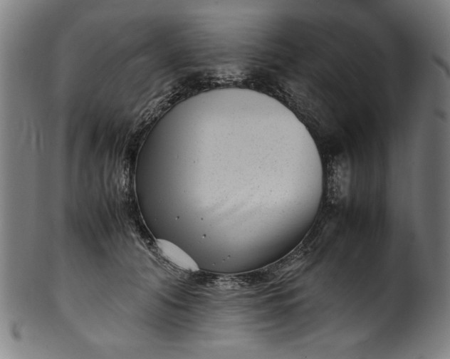 X0000099940608200806061520