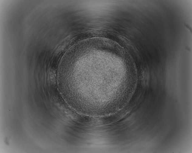X0000099940610200806061520