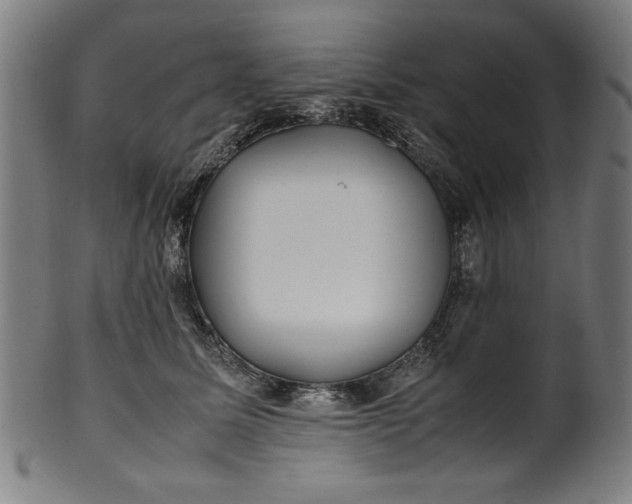 X0000099940611200806061520
