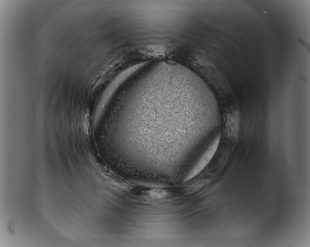 X0000099940612200806061520