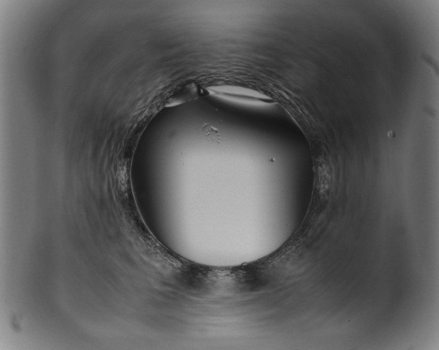 X0000099940613200806061520