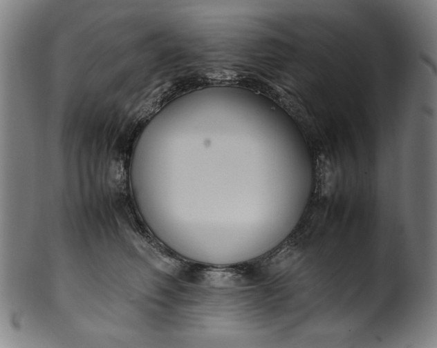 X0000099940614200806061520