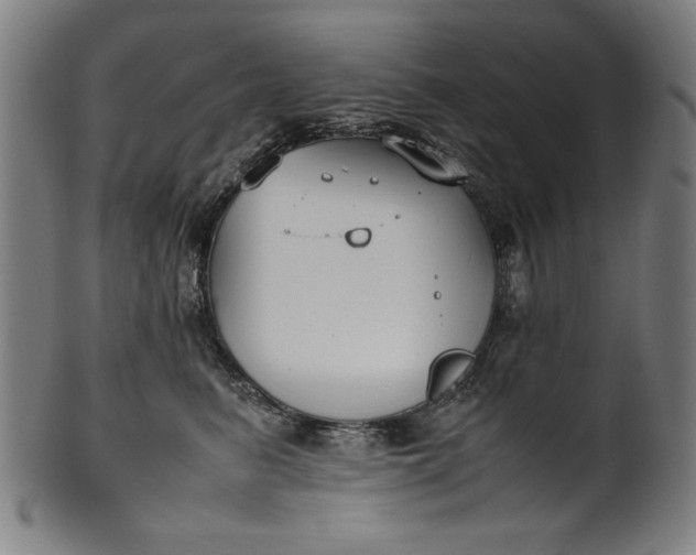 X0000099940615200806061520