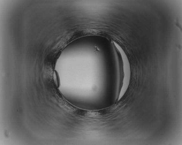 X0000099940617200806061520
