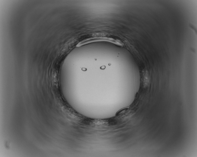 X0000099940619200806061520