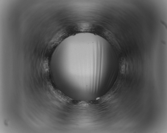 X0000099940620200806061520