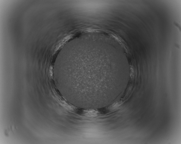 X0000099940621200806061519