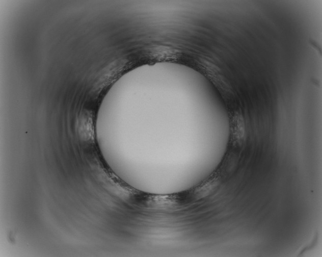 X0000099940622200806061519