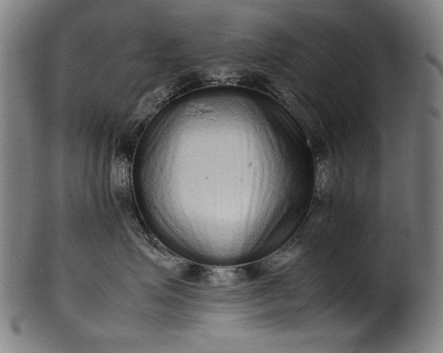 X0000099940623200806061519