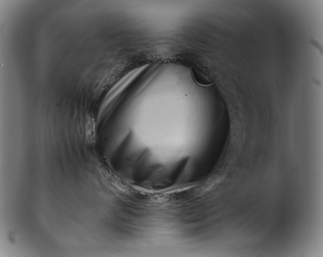 X0000099940624200806061519