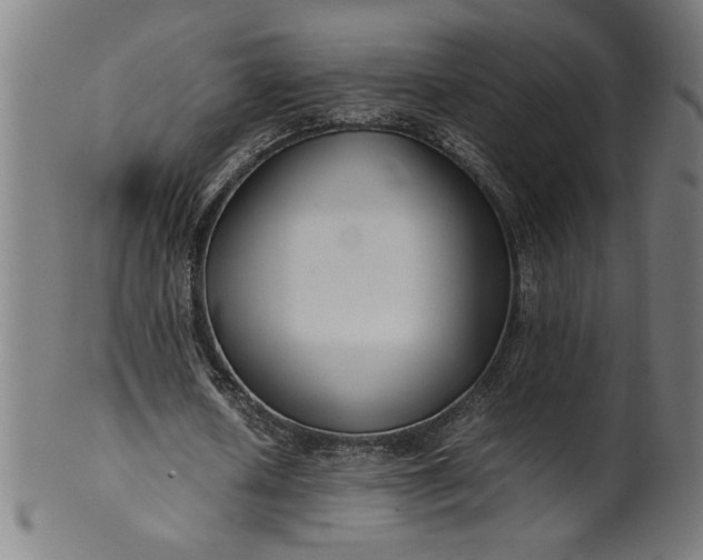 X0000099940626200806061519