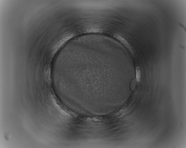 X0000099940627200806061519