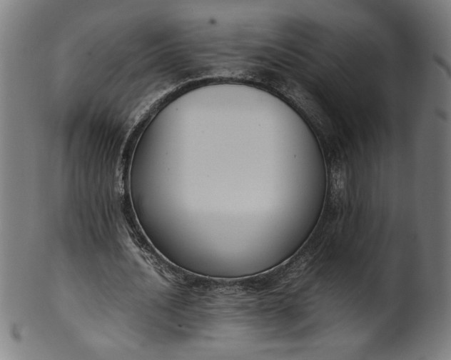 X0000099940628200806061519