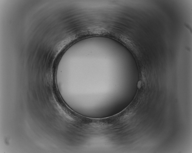 X0000099940630200806061519