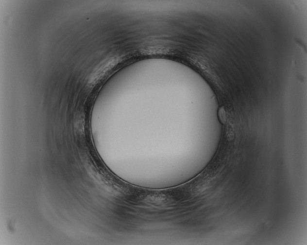 X0000099940631200806061519