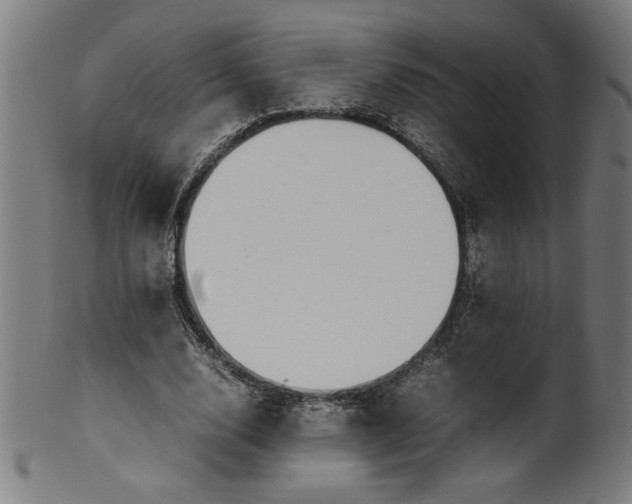 X0000099940632200806061519