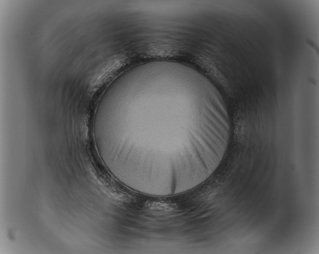 X0000099940635200806061519