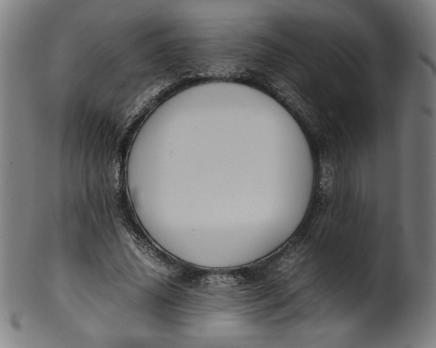 X0000099940636200806061519