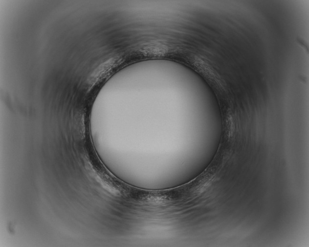 X0000099940638200806061519