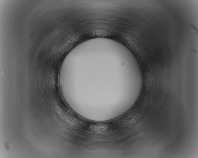 X0000099940639200806061519