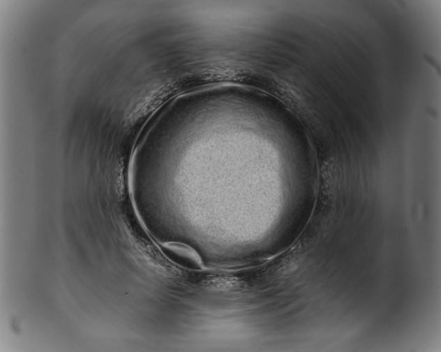 X0000099940642200806061519