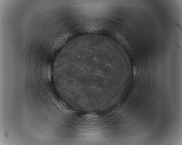 X0000099940644200806061519