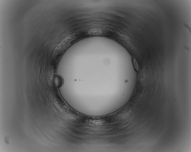 X0000099940645200806061519