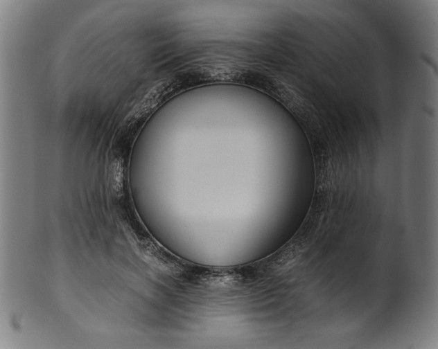 X0000099940646200806061519