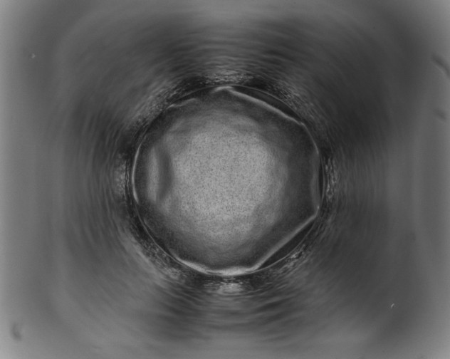 X0000099940647200806061519
