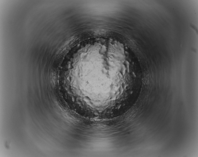 X0000099940648200806061519