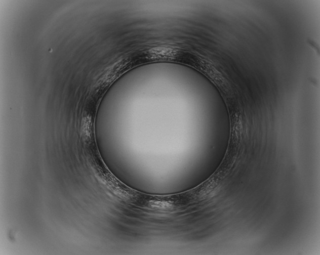 X0000099940649200806061519