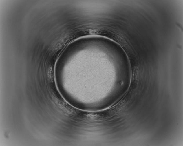 X0000099940650200806061519