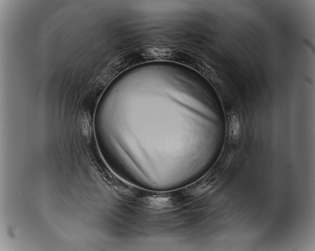 X0000099940651200806061519