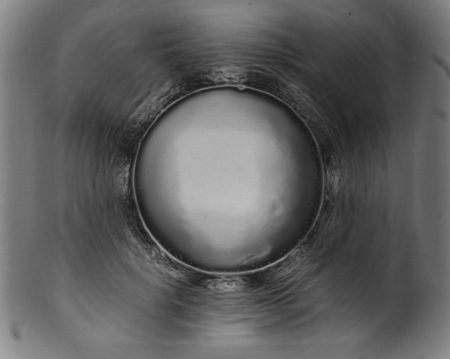 X0000099940652200806061519