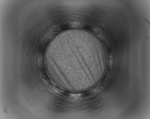 X0000099940653200806061519