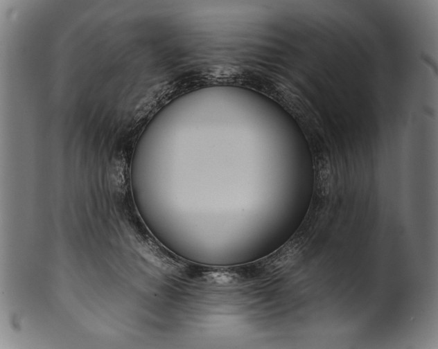 X0000099940654200806061519